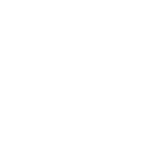Ellipse white