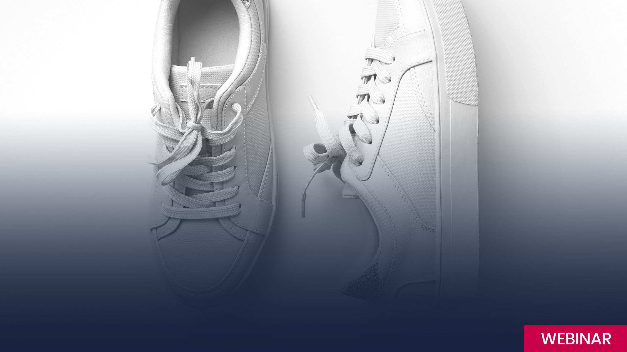 Webinar-Skoringen-Website page copy
