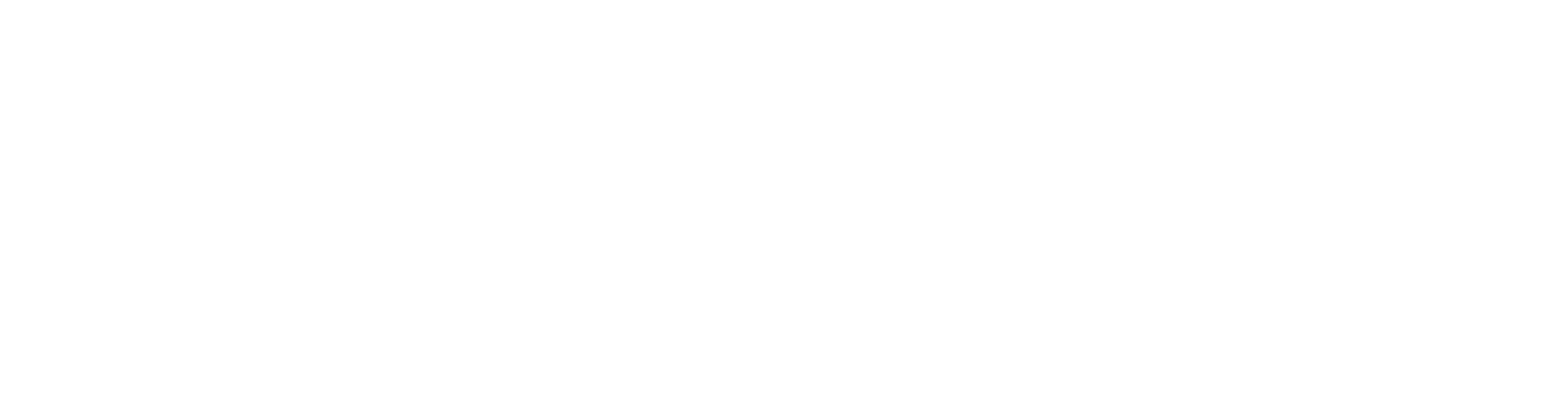Nordic Hiit logo white Bog-og-ide-logo