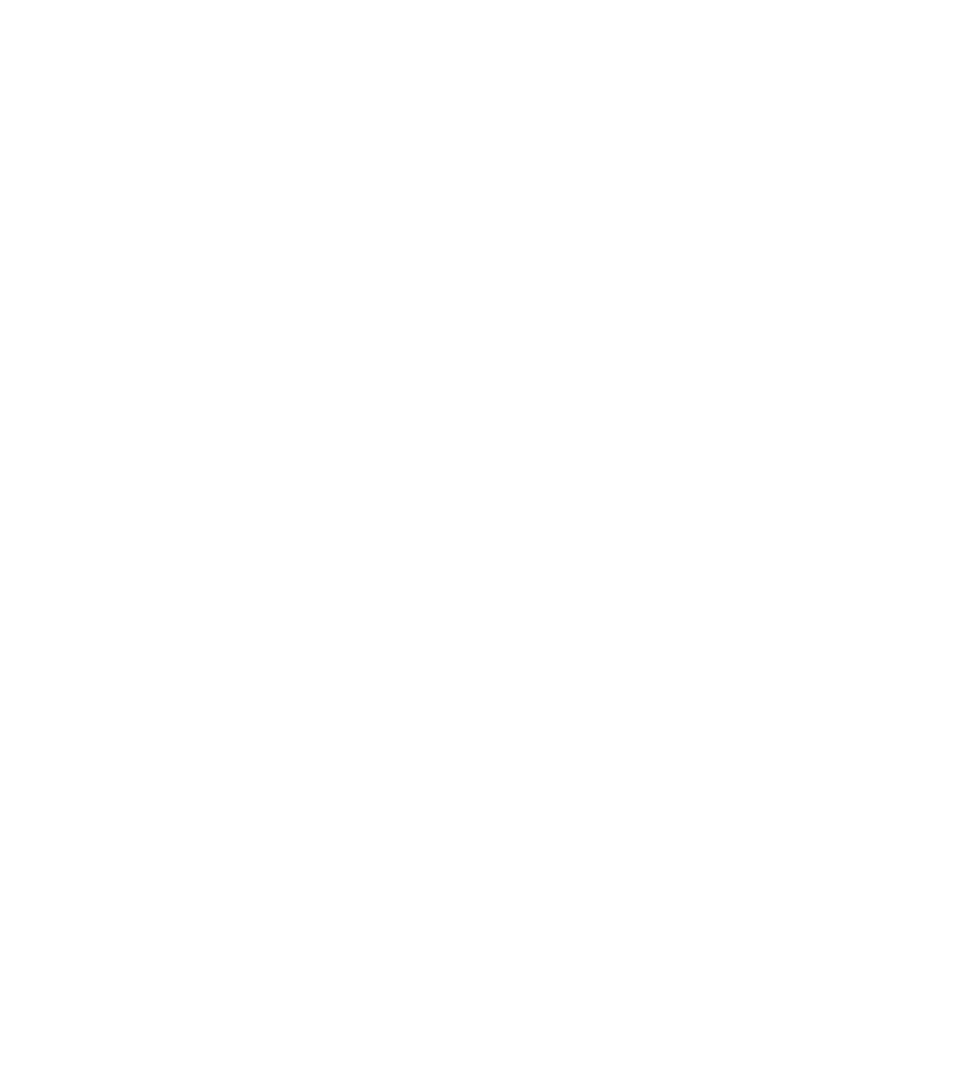 Nordic Hiit logo white DK_Company_logo