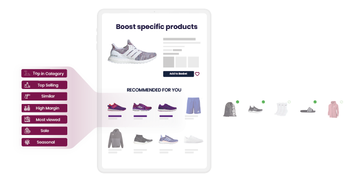 Merchandising Raptor Services