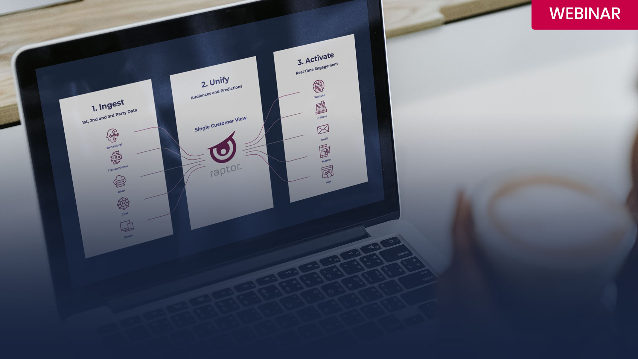 Webinar-Customer Data Platform From Insights to Operationalization_1 Black friday webinar raptor