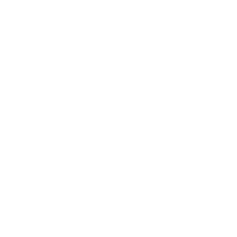 nemlig logo-white