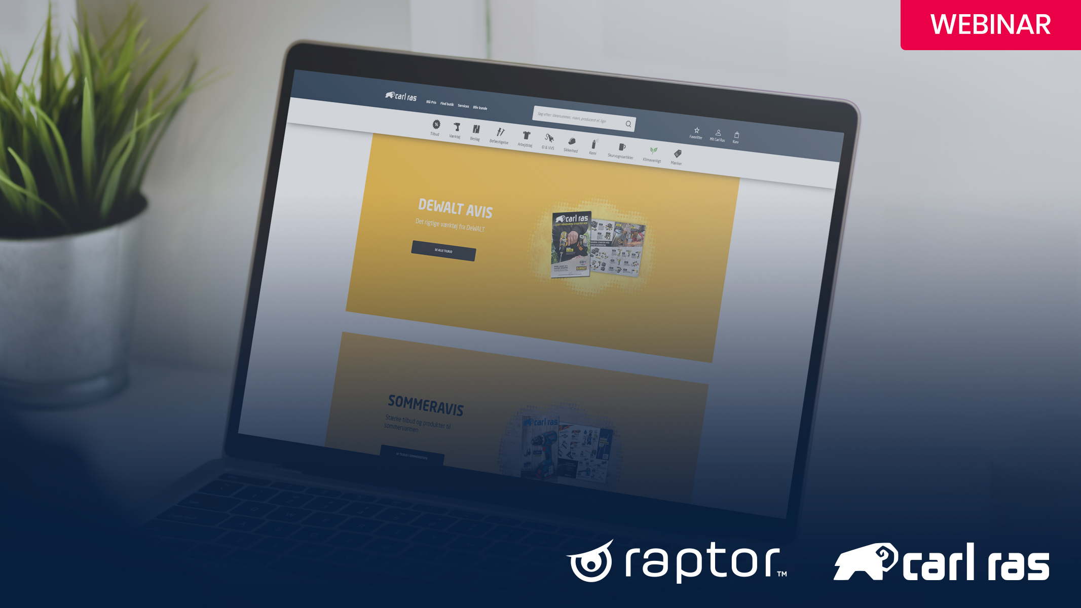 Website-header_Carl-ras-b2b carl-ras-b2b-webinar