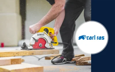 How the B2B Carl Ras succeeded with personalization online