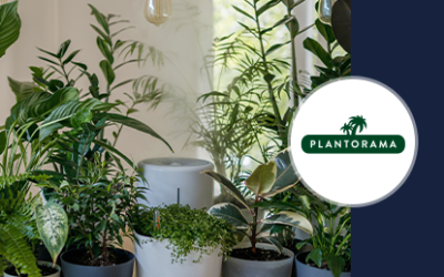 How Plantorama’s conversion rates grew by 40% with tailored Web Personalization