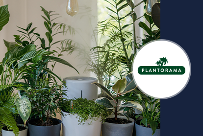 How Plantorama’s conversion rates grew by 40% with tailored Web Personalization
