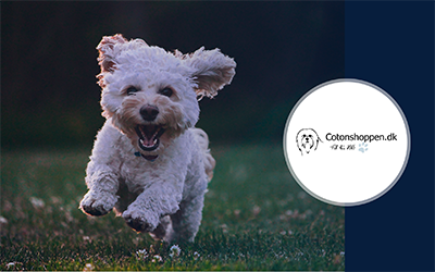 How Cotonshoppen.dk increased conversion rates by 142% from e-mail personalization