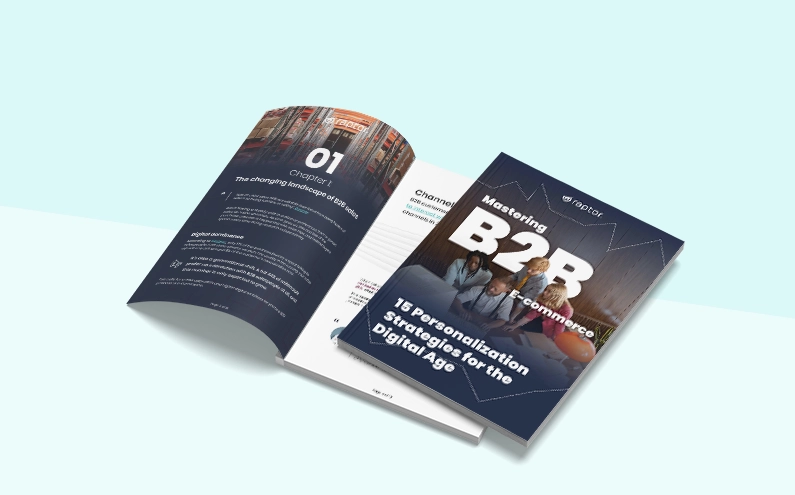 E-book: Mastering B2B e-commerce