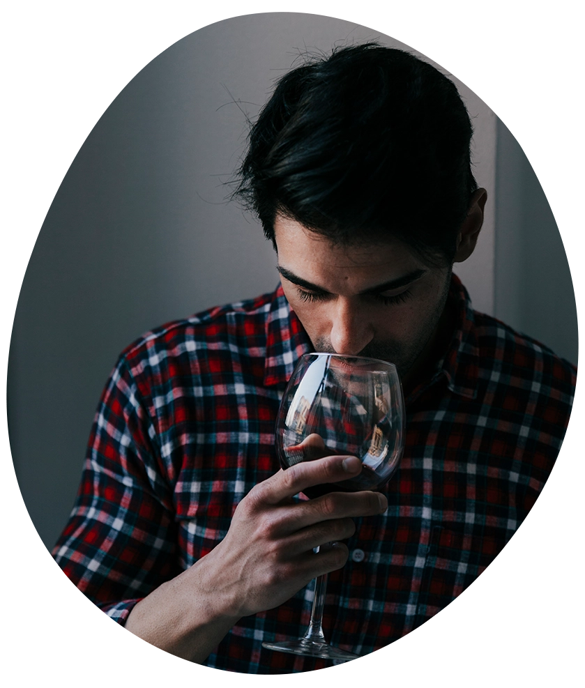 nemlig-Vin-segment
